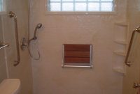 5 New Bath To Shower Conversion Ideas Small Bathroom Wheelchair throughout measurements 768 X 1024