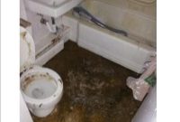 Clogged Toilets Bathtubs Showers The Drain Medic Drain Sewer in measurements 1000 X 1294