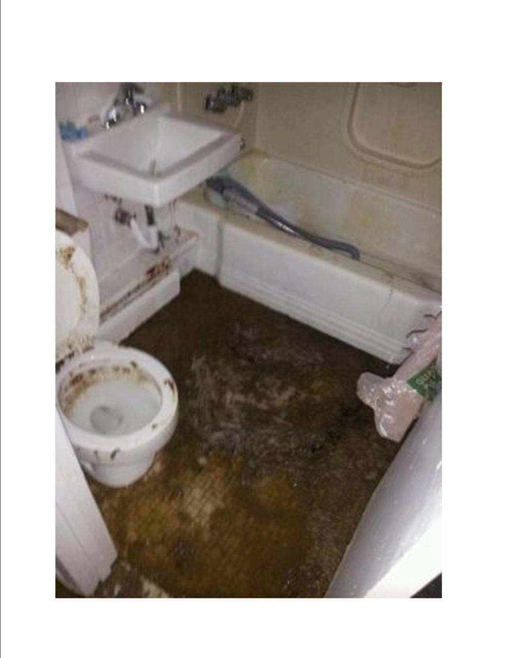 Clogged Toilets Bathtubs Showers The Drain Medic Drain Sewer pertaining to sizing 1000 X 1294