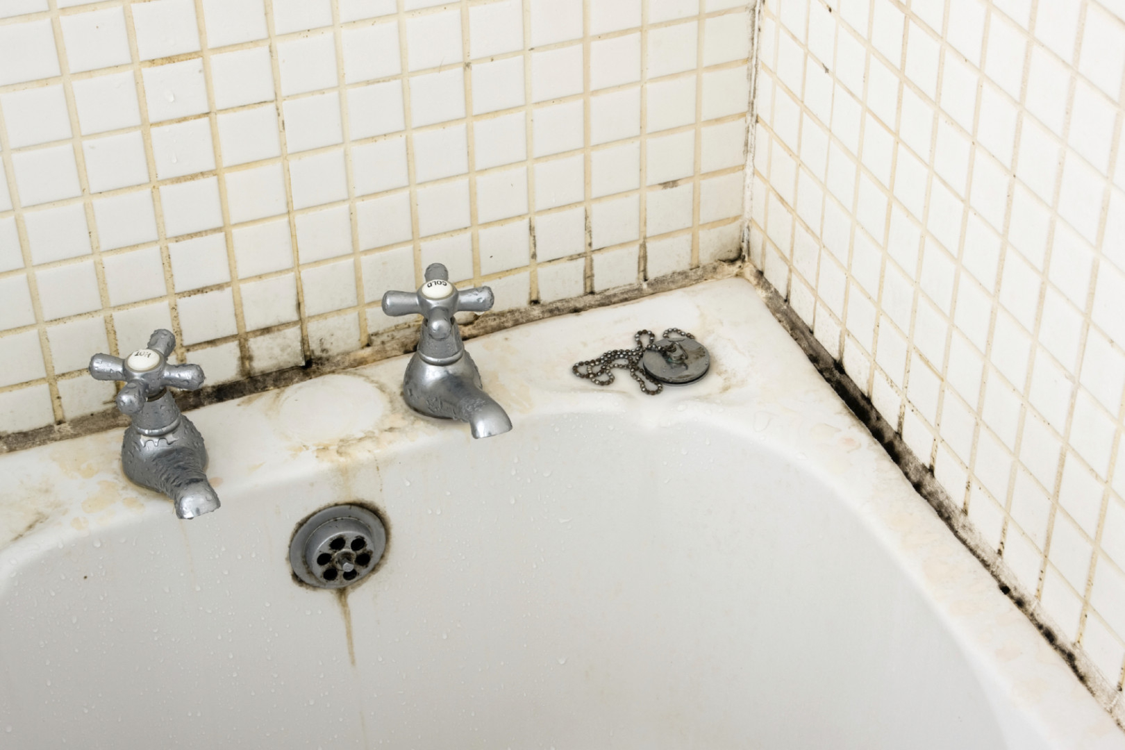 Diy Bathtub Mold Removal Bathroom Ideas within size 1620 X 1080