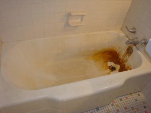 Fiberglass Bathtubs And Showers Refinishing Resurfacing Reglazing with regard to measurements 1024 X 768