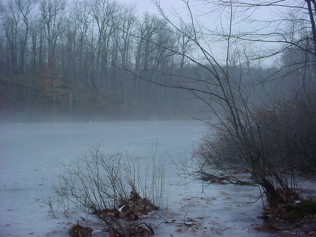 Mendon Ponds Park Wikipedia for sizing 1024 X 768