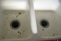 Mold Under Kitchen Sink Fresh Black Mold In Bathroom Pipes Under intended for sizing 3072 X 2304