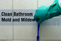 Natural Bathtub Mold Removal Bathroom Ideas inside proportions 1080 X 1080