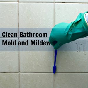 Natural Bathtub Mold Removal Bathroom Ideas inside proportions 1080 X 1080