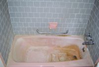 Pink Mould Shower Curtain Curtain Bathroom Door Locked From Inside regarding size 2304 X 1728