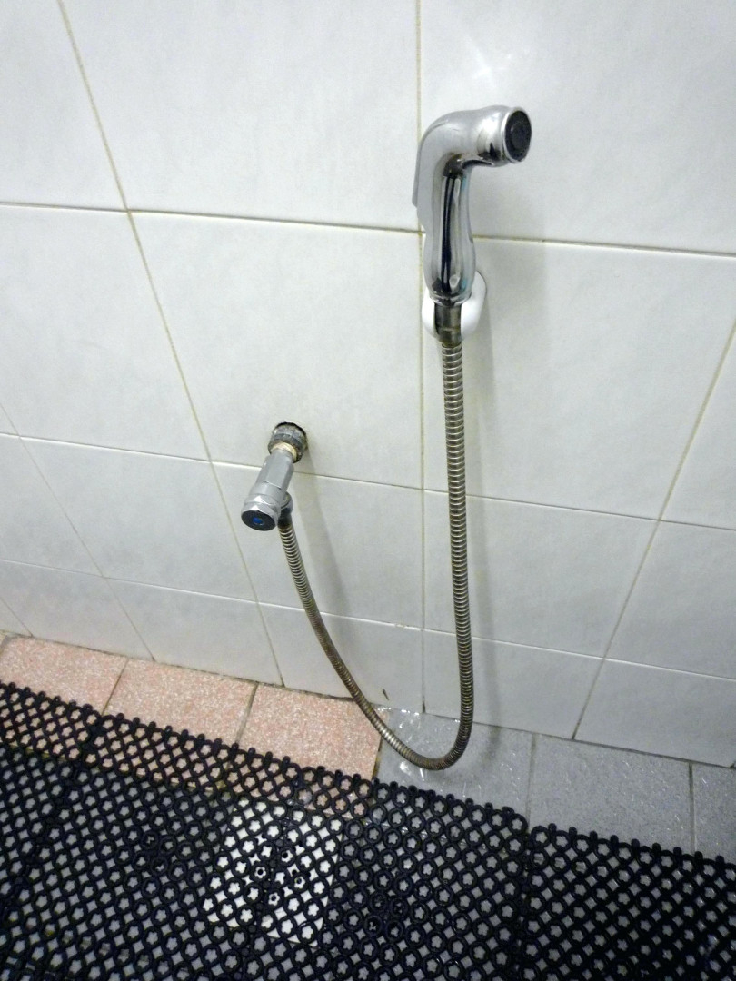 Spray Sensations Bathtub Hose Bathroom Ideas Throughout Size 810 X 1080 